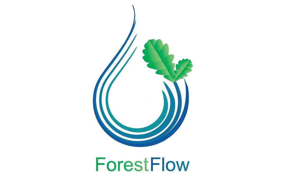ForestFlow – Flood Protection Infrastructure Restoration and Development of Cross-border System for Protecting People and Natural Assets from Floods
