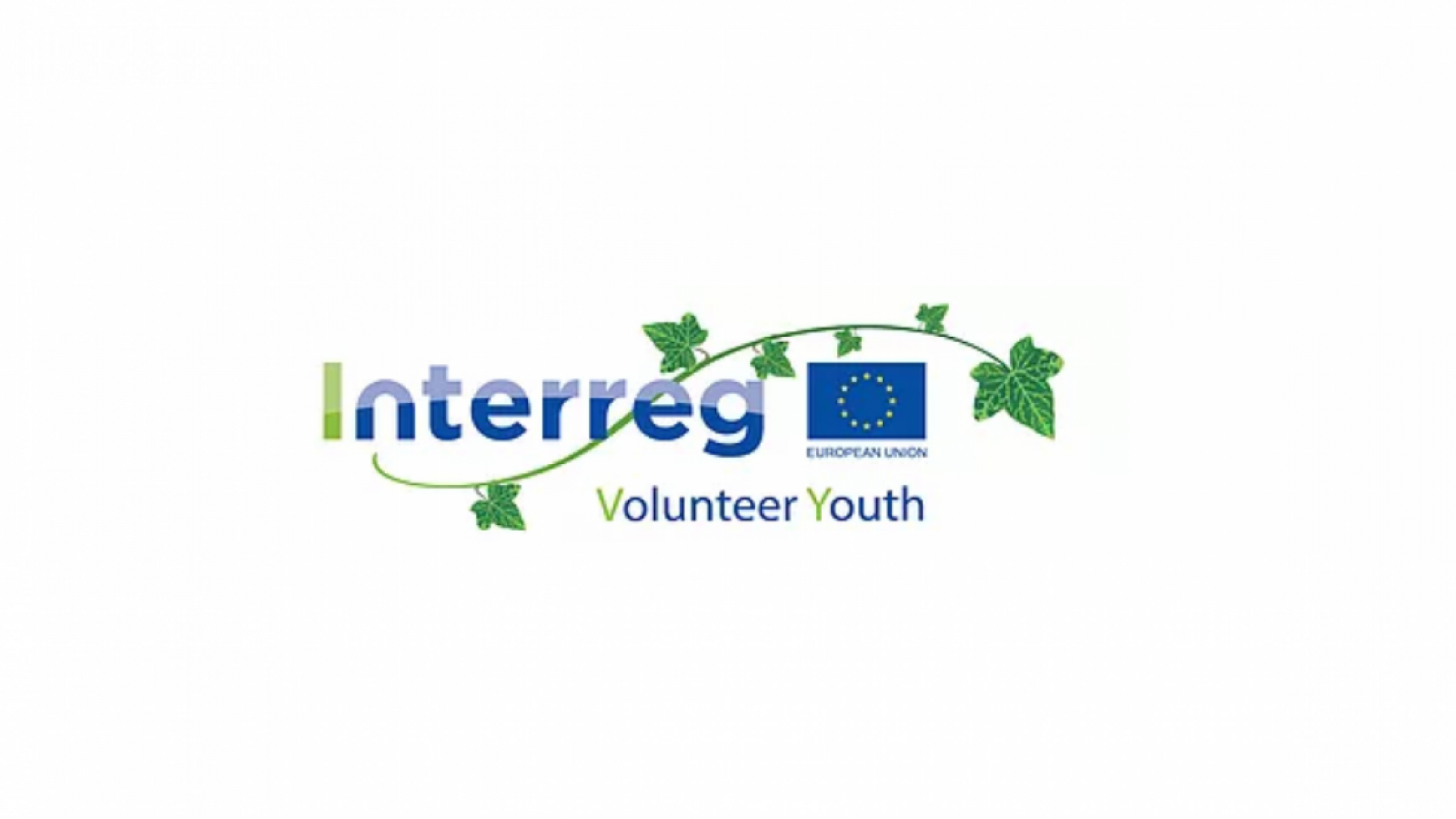 This year, IRMO once again hosts Interreg Volunteer Youth