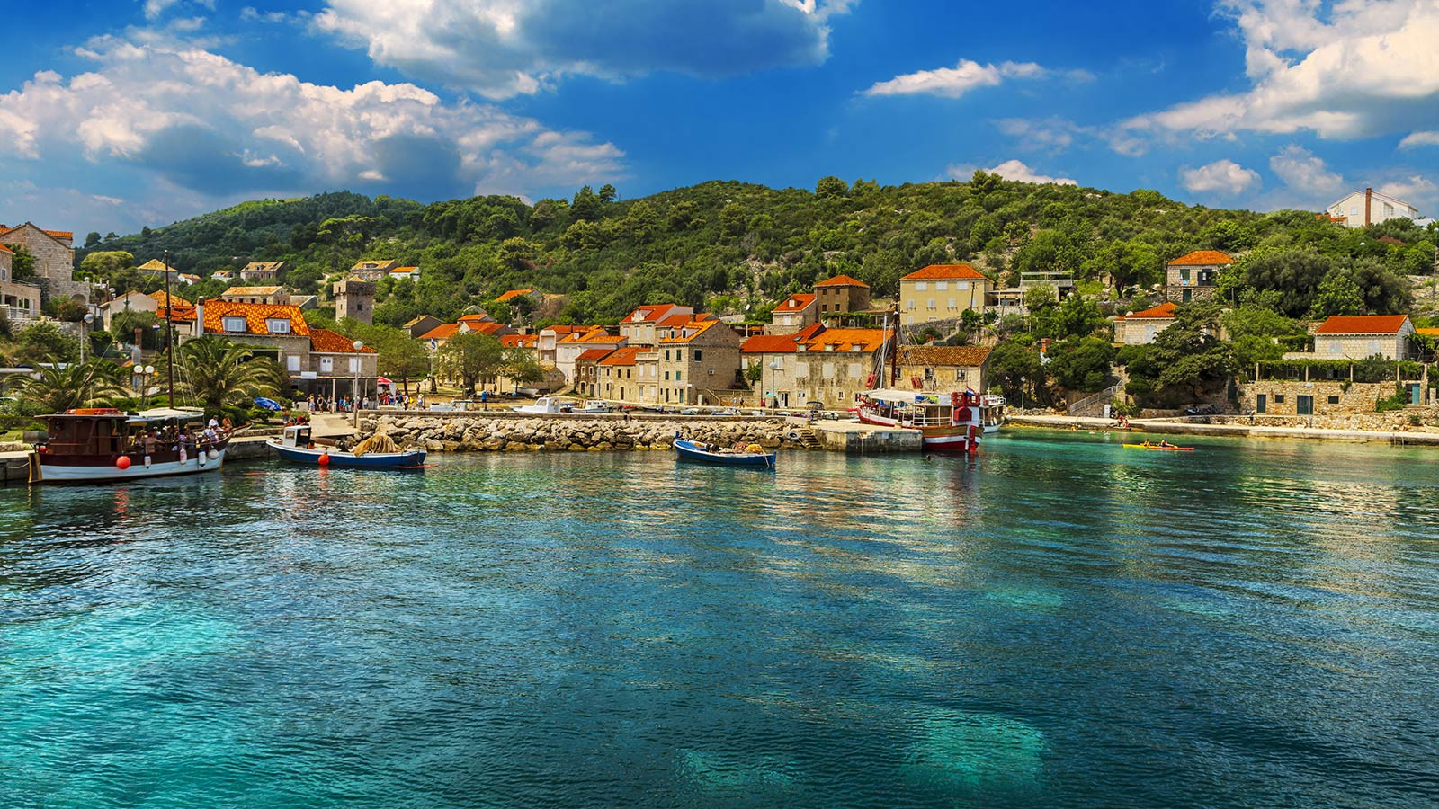 Studija pred-izvedivosti za osnivanje Međunarodne akademije za održivi razvoj na otoku Šipanu