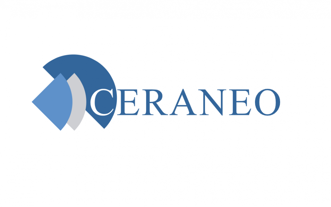 Strategic plan of the Center for Development of Non-Profit Organizations (CERANEO) for the period from 2024 to 2027 years