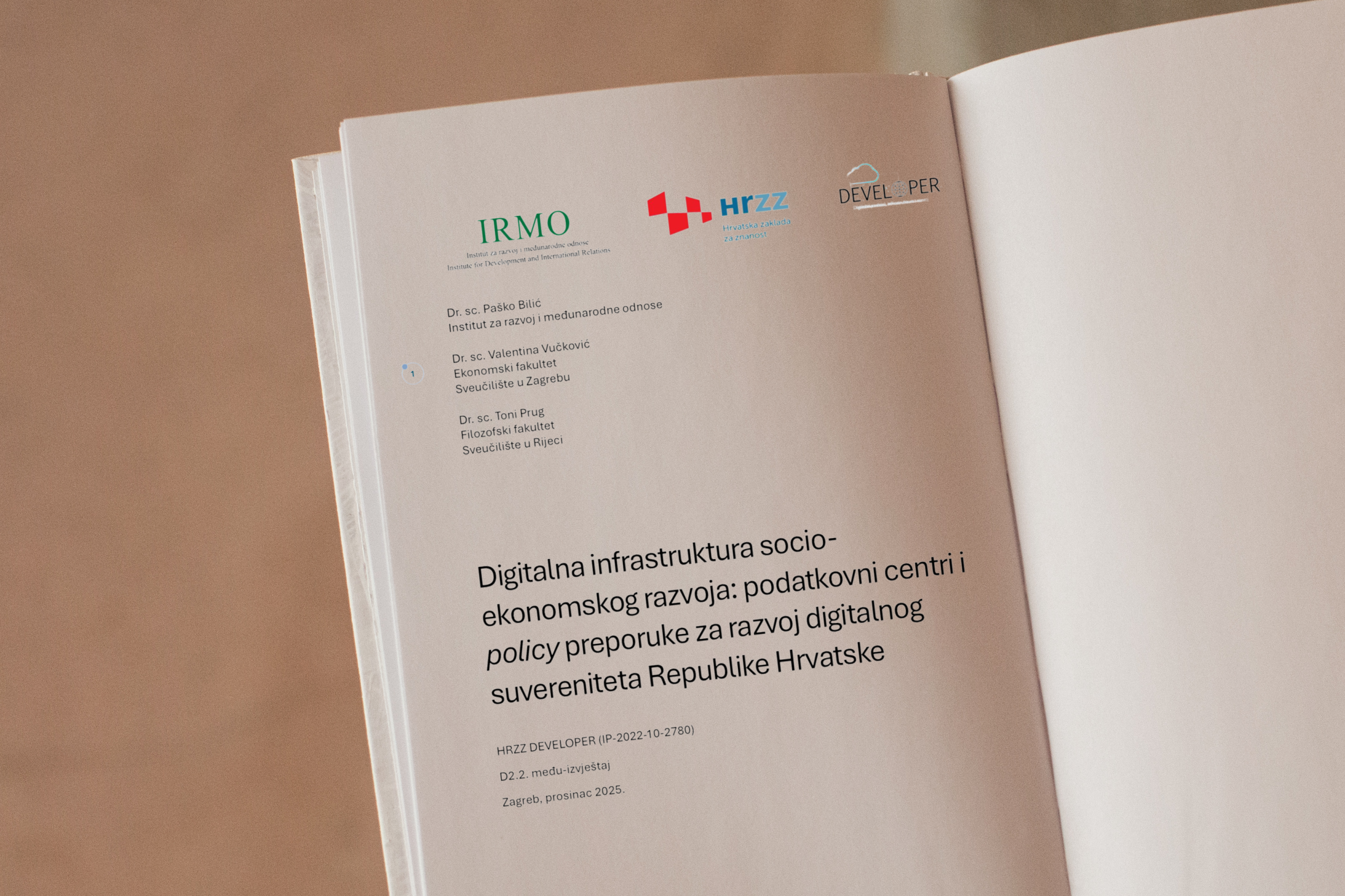 Report Published within the DEVELOPER Project