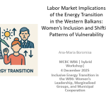 IRMO znanstvenica na MCBC WB6 radionici Snimka-zaslona-2025-12-04-114804